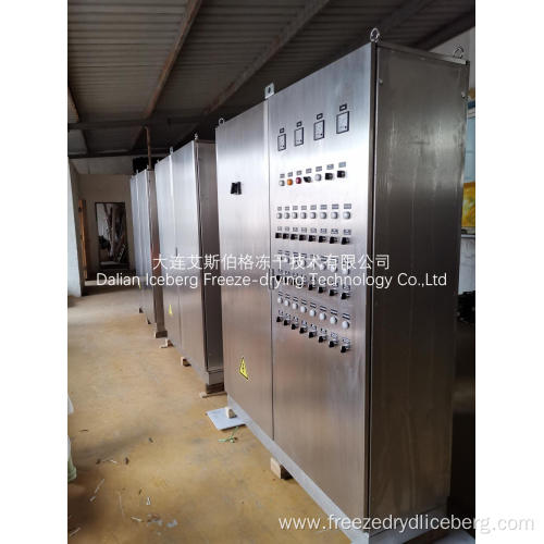 Batch type Freeze Drying Plant